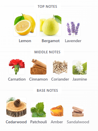 Swiss Arabian – Bergamot and Cedarwood