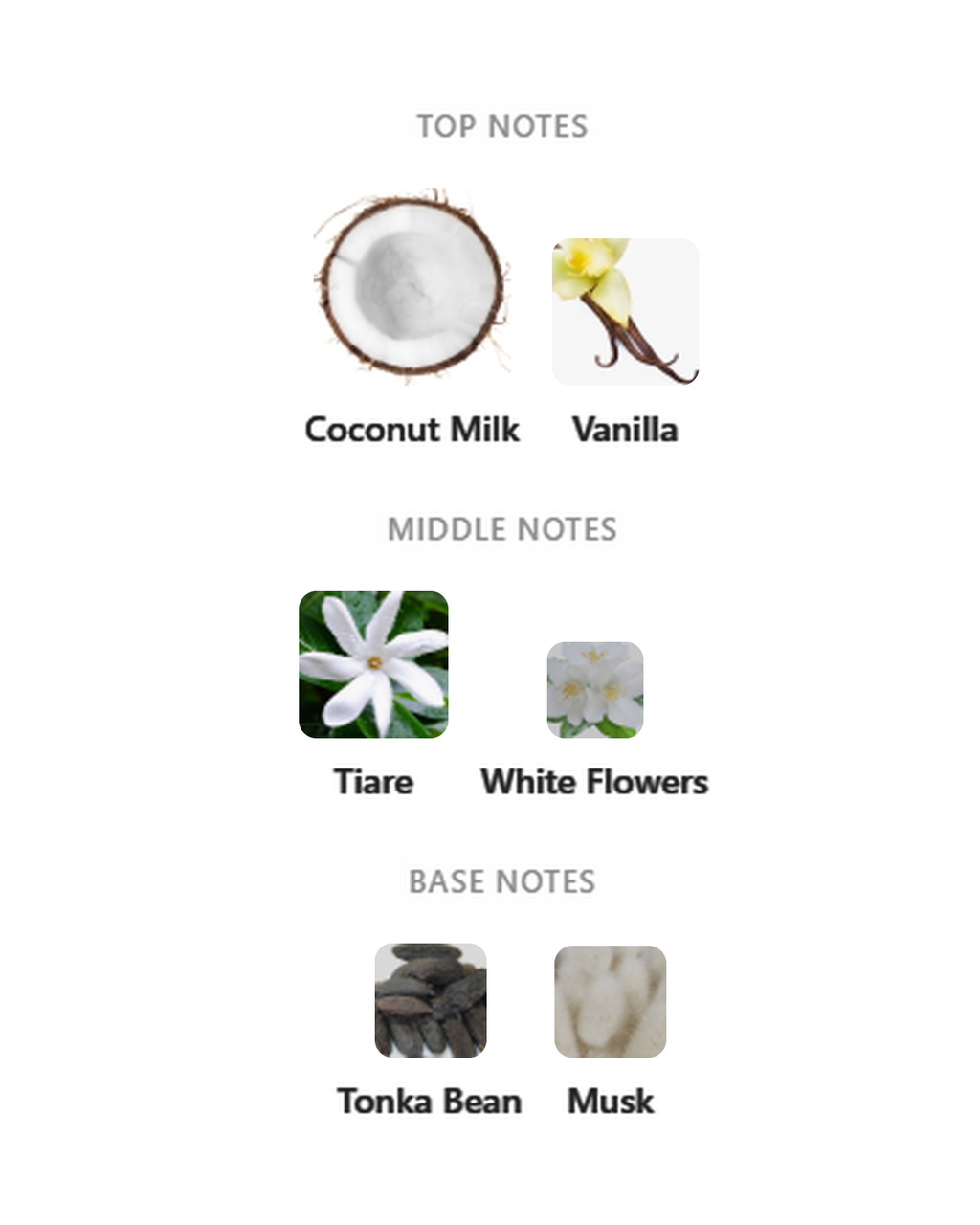Boy Smells Coco Cream notes