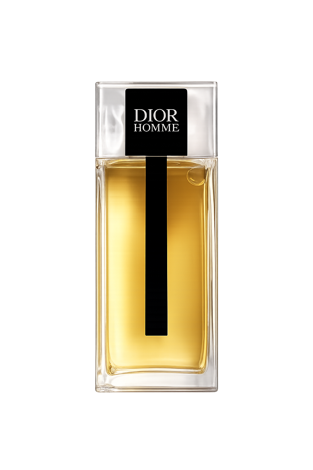 Dior – Dior Homme
