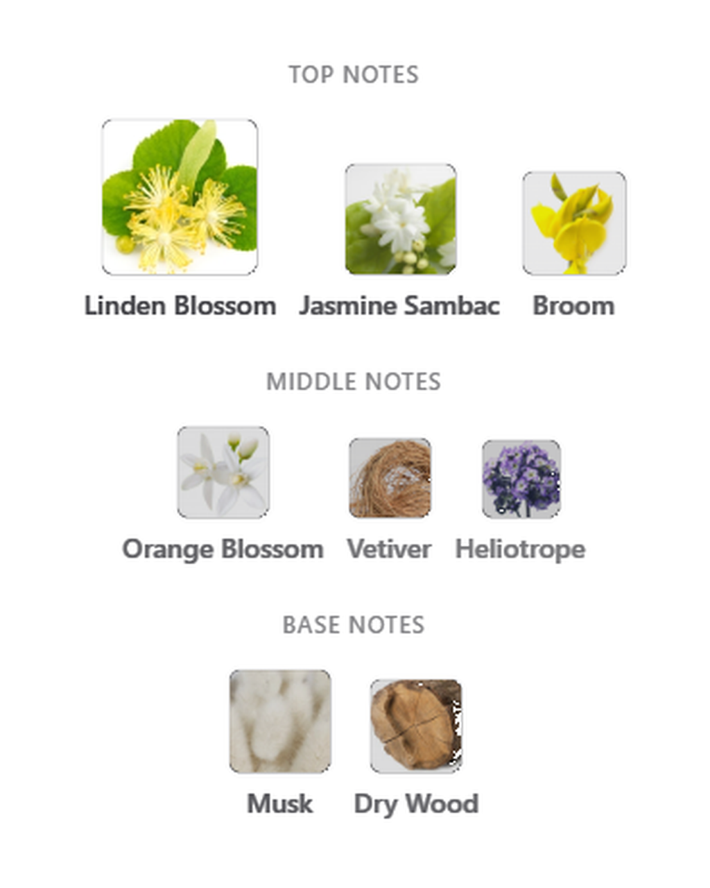 French Avenue Jasmere notes