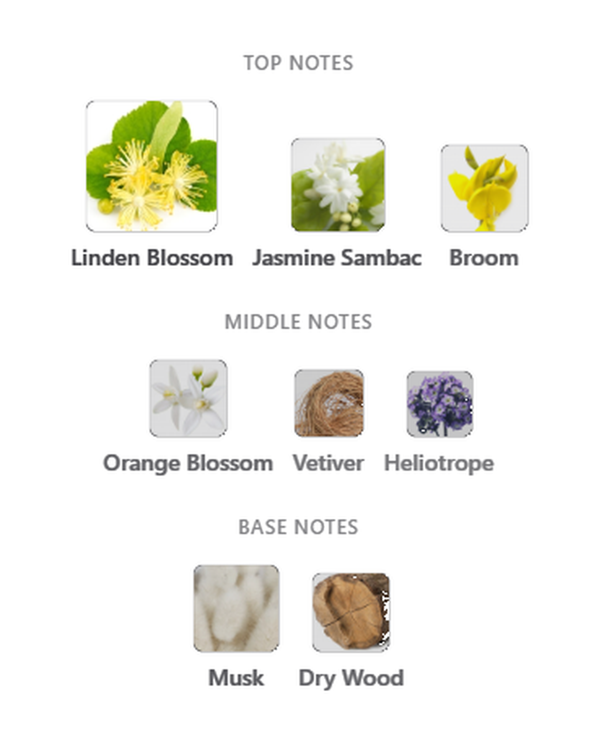 French Avenue Jasmere notes