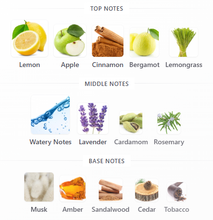 Lattafa Perfumes – Najdia