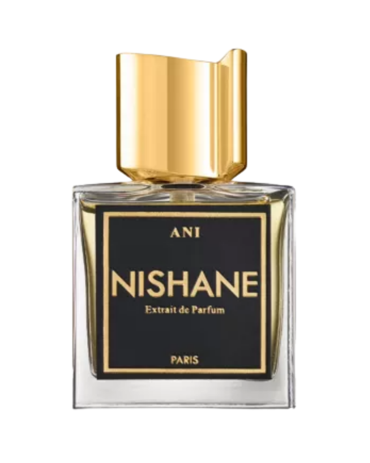 Nishane – Ani