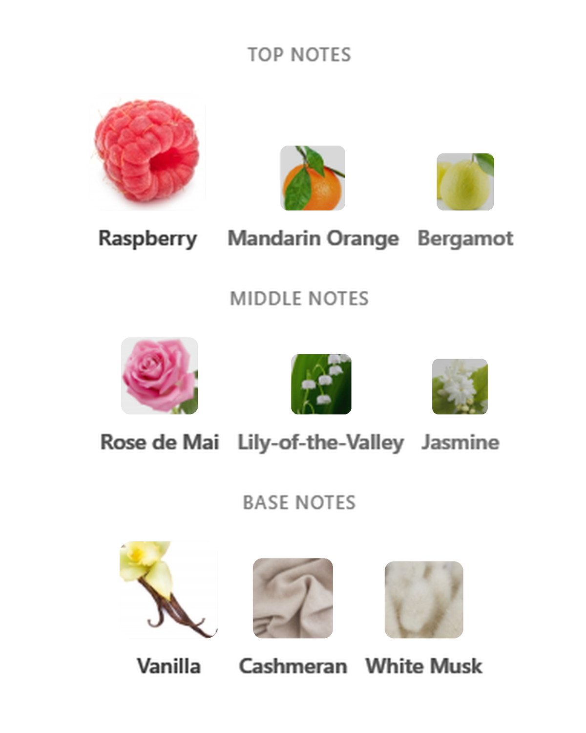 Ralph Lauren Beyond Romance notes