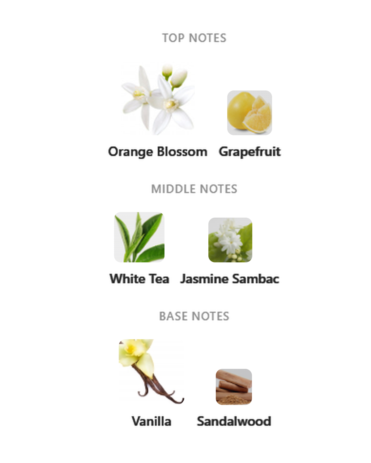 Rayhaan Equinox notes