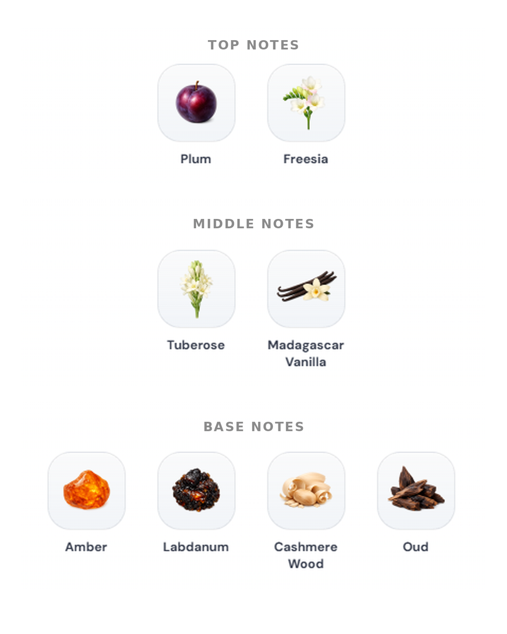 Rayhaan Vanilla Vibe notes